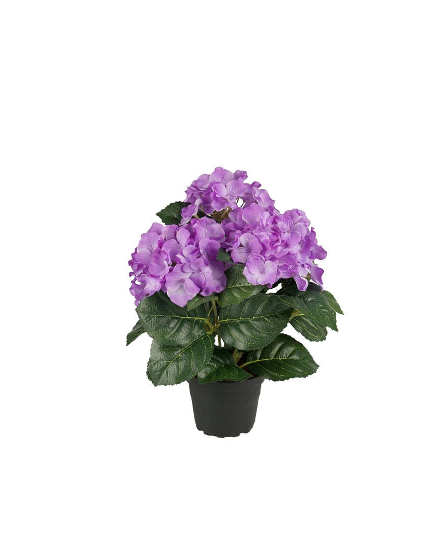 Hortensia konstväxt lila 30 cm