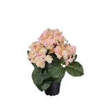 Hortensia konstväxt rosa 30 cm