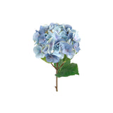 Hortensia snittblomma blå
