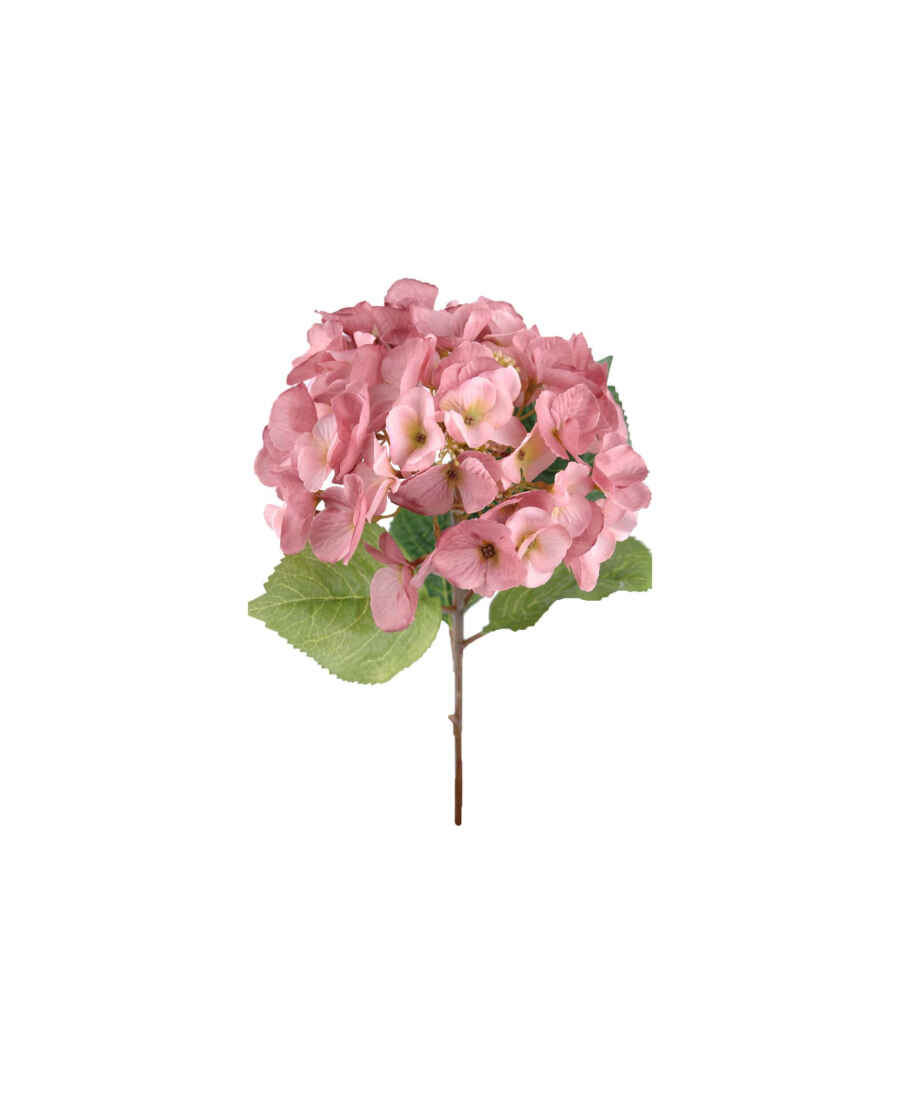 Hortensia snittblomma rosa