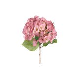Hortensia snittblomma rosa