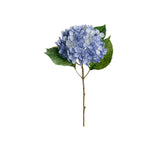 Hortensia snittblomma blå