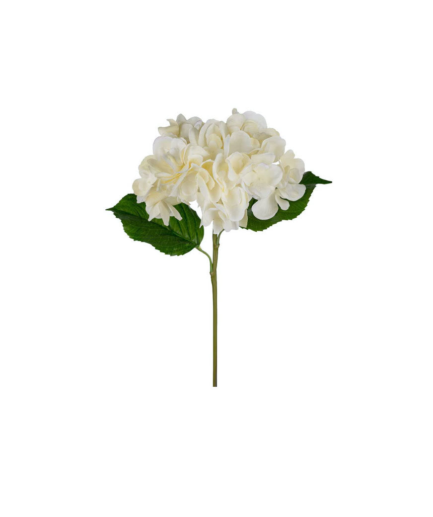 Hortensia snittblomma vit