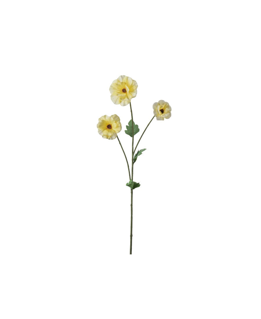 Japansk Ranuncel gul 62 cm