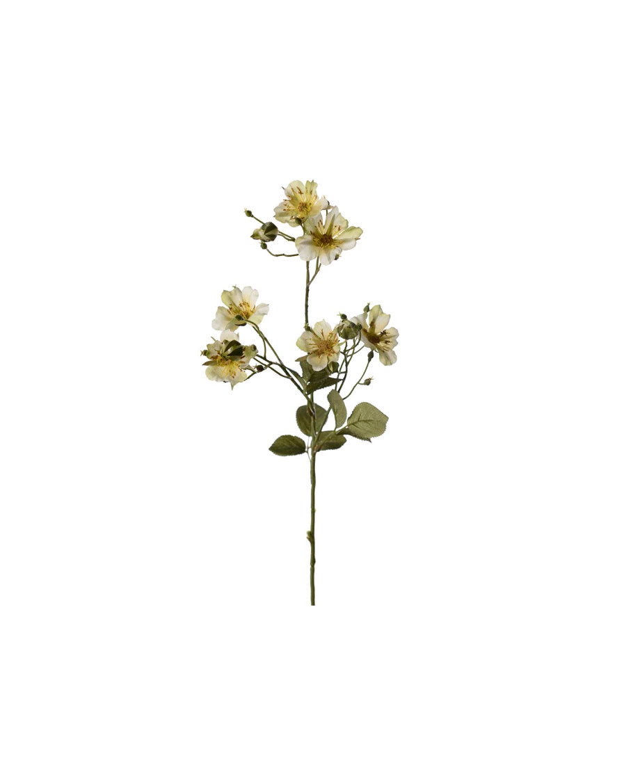 Japansk klätterros grön 35 cm