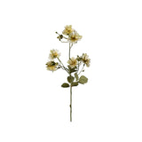 Japansk klätterros grön 35 cm