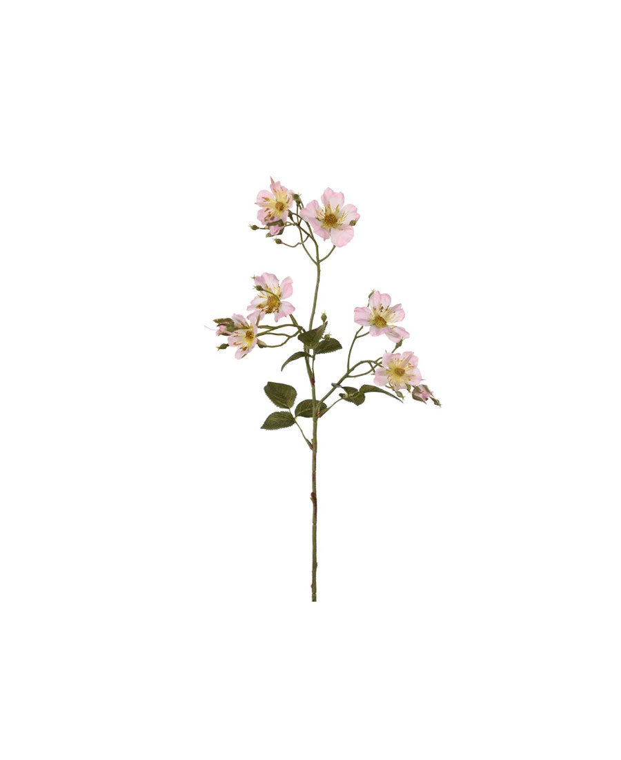 Japansk klätterros rosa 35 cm