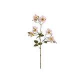 Japansk klätterros rosa 35 cm