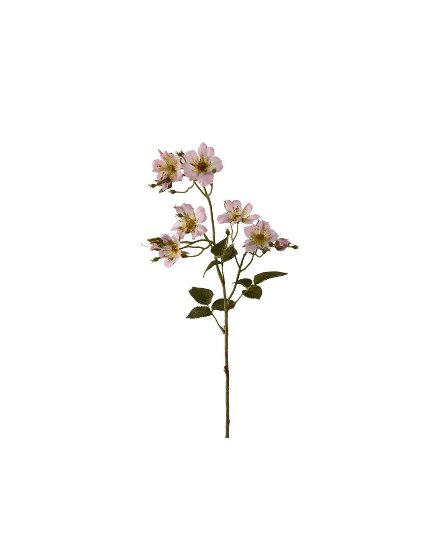 Japansk klätterros rosa 65 cm