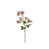 Japansk klätterros rosa 65 cm