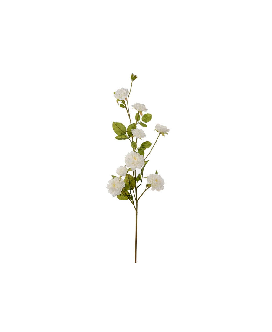 Klätterros snittblomma vit 85 cm