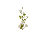 Klätterros snittblomma vit 85 cm