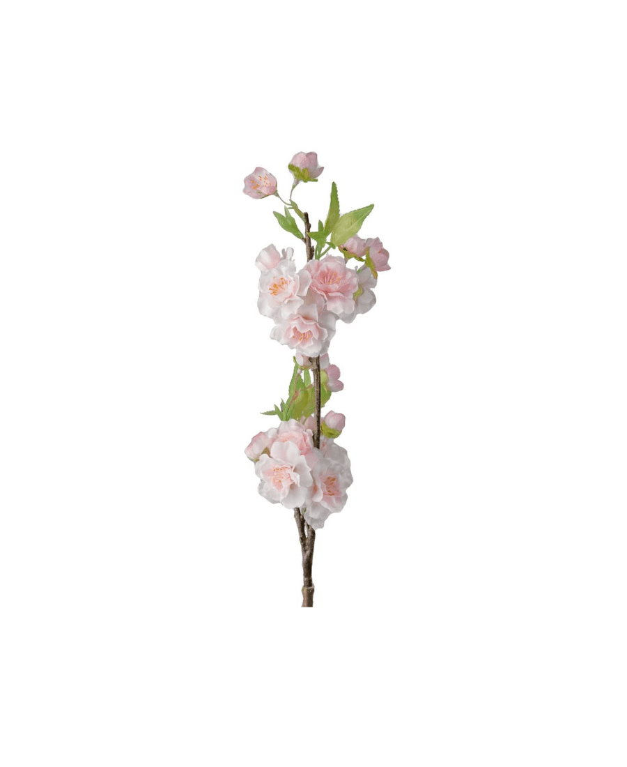 Körsbärsblom snittblomma rosa