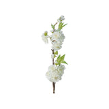 Körsbärsblom snittblomma vit