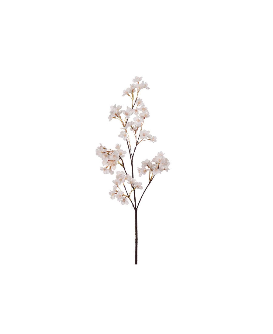 Körsbärsblom vit 90 cm