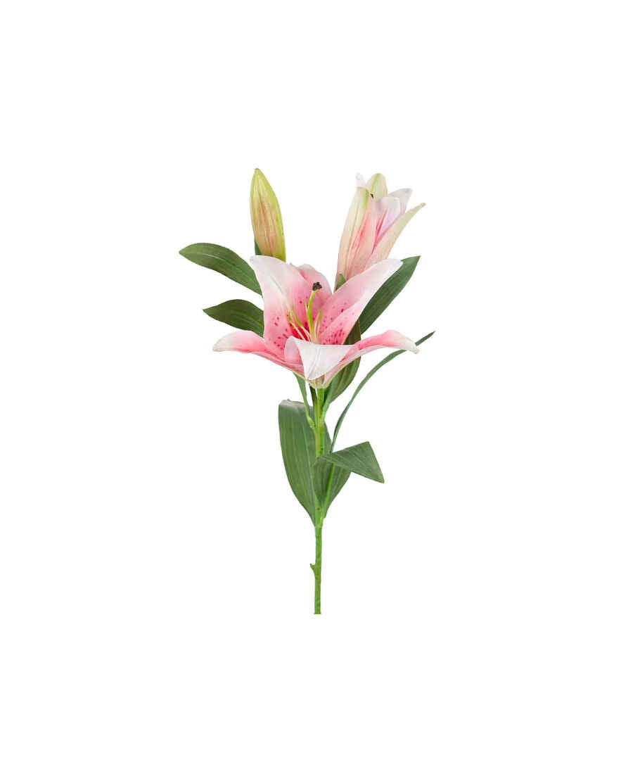 Lilja snittblomma rosa