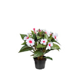 Lykliga Lotta konstväxt vit/rosa 30 cm