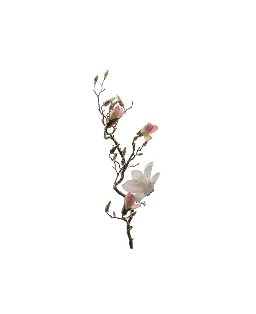 Magnolia snittblomma rosa 135 cm