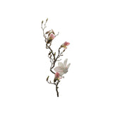 Magnolia snittblomma rosa 135 cm