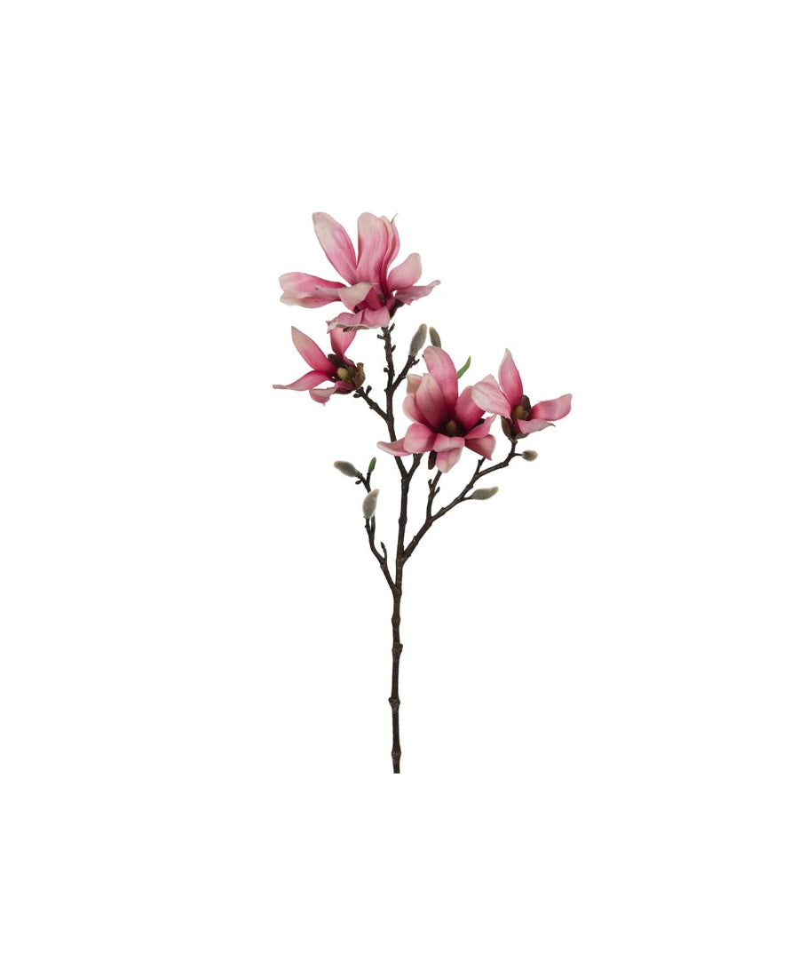 Magnolia snittblomma rosa 50 cm