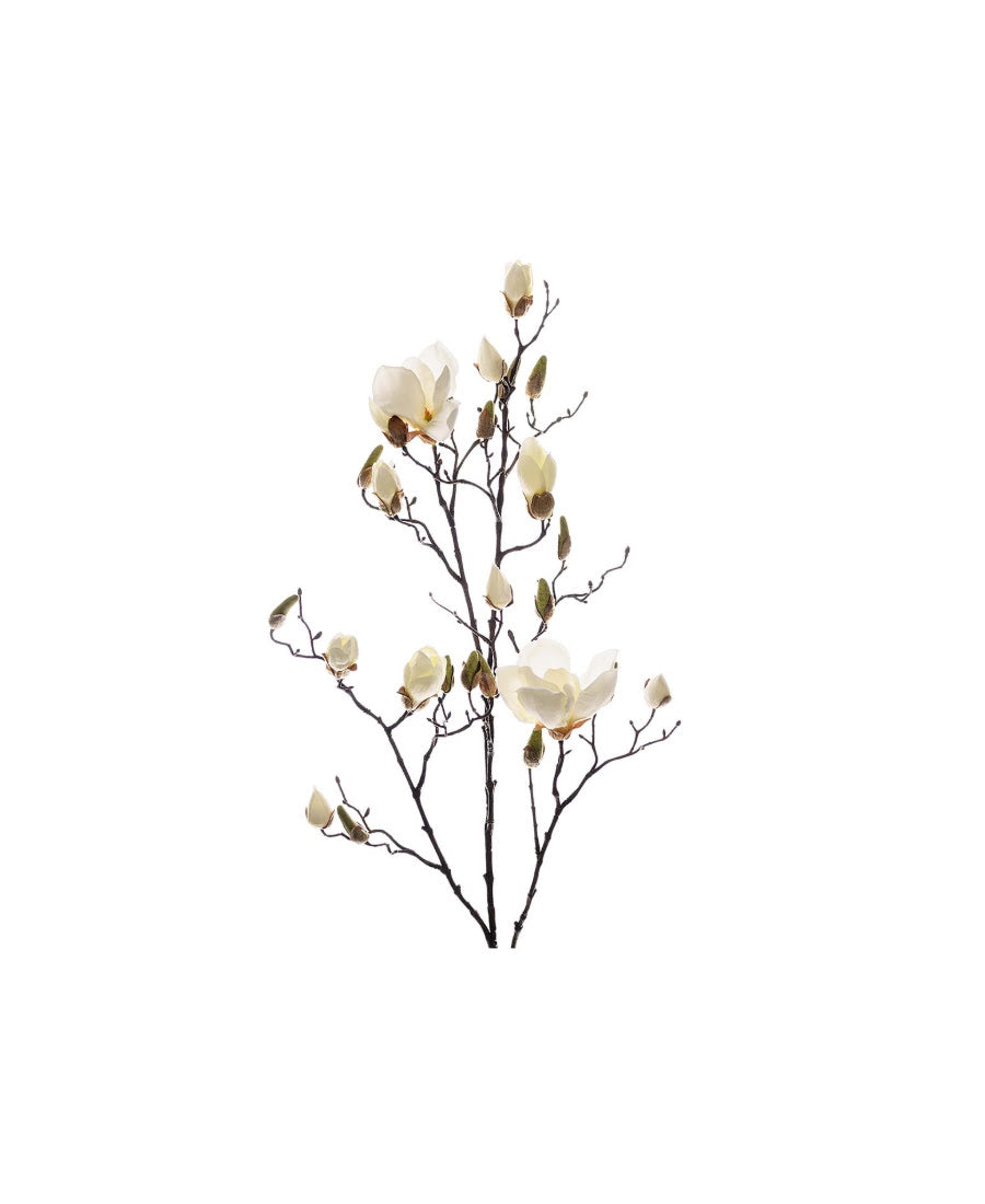 Magnolia snittblomma vit 110 cm