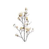 Magnolia snittblomma vit 110 cm