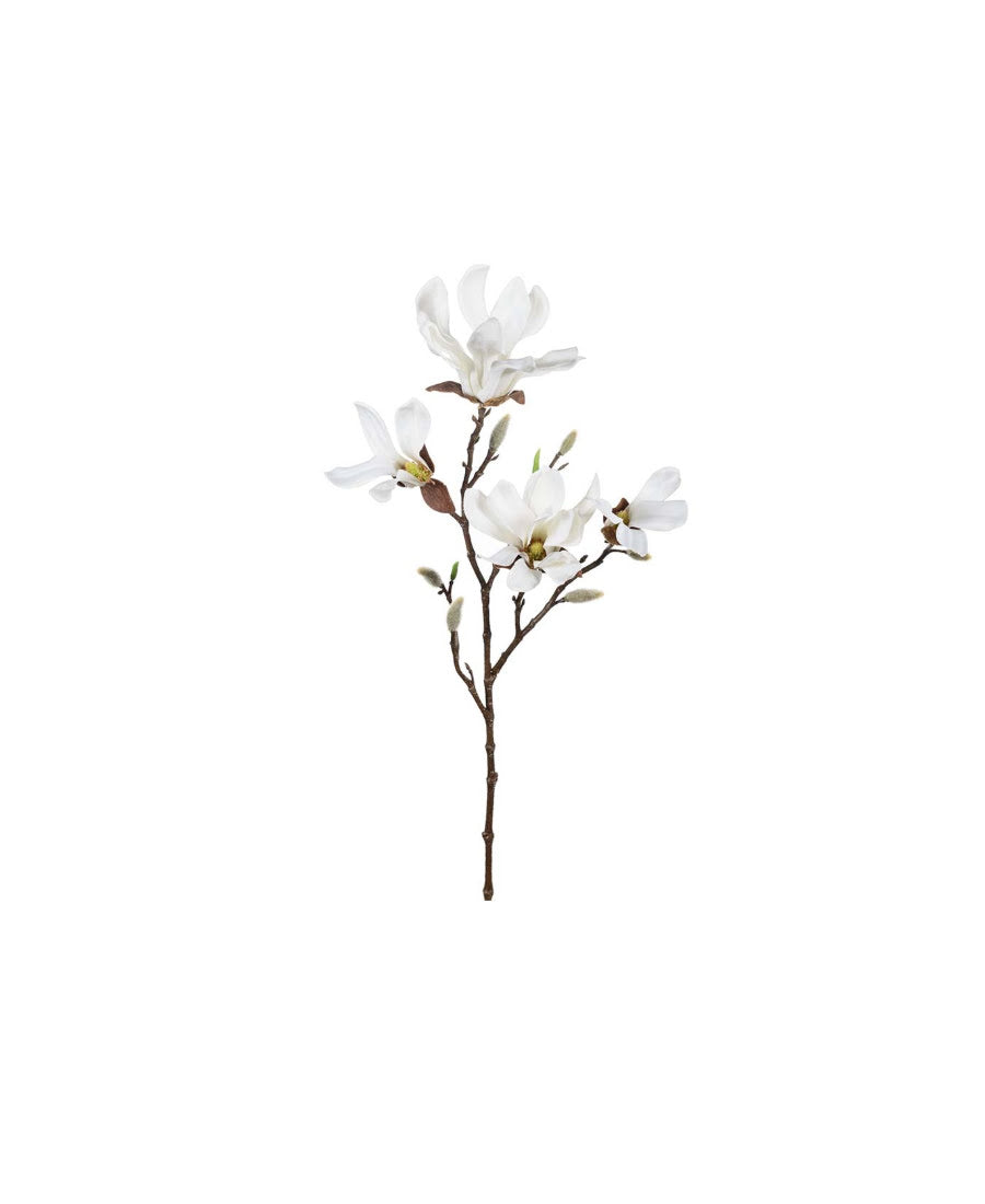 Magnolia snittblomma vit 50 cm