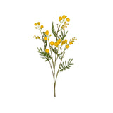 Mimosa snittblomma gul