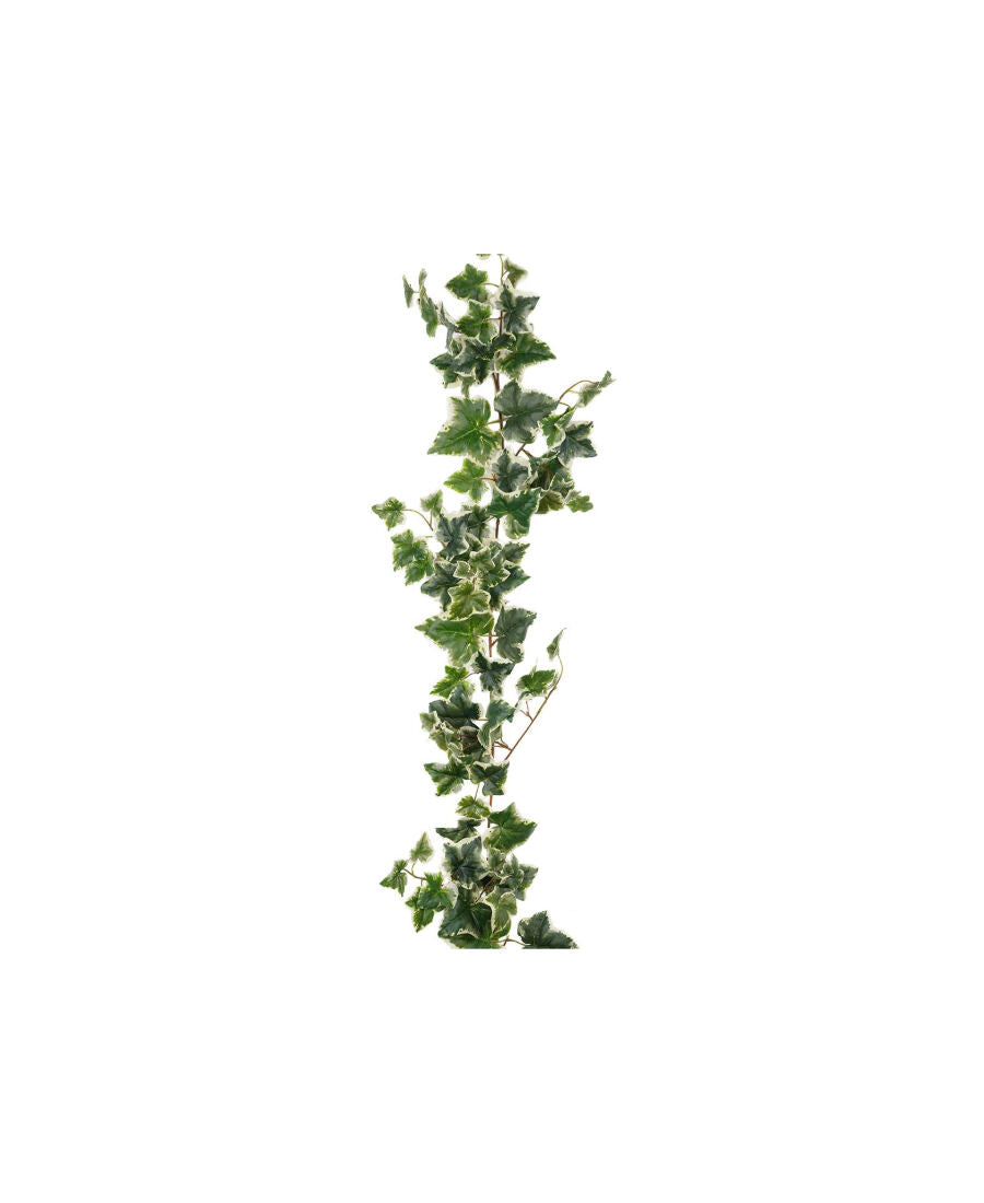 Murgröna girlang ljusgrön 180 cm