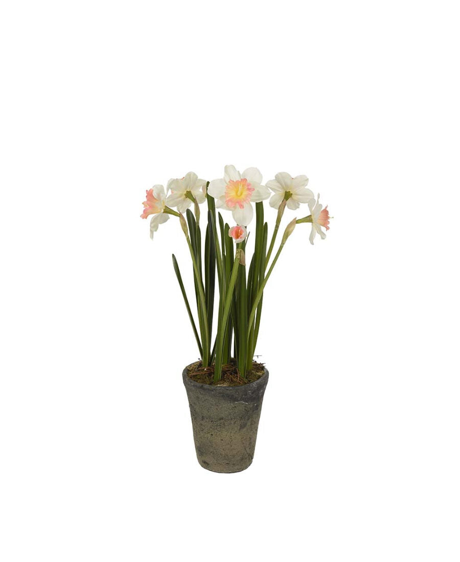 Narciss konstväxt gul/grön 55 cm