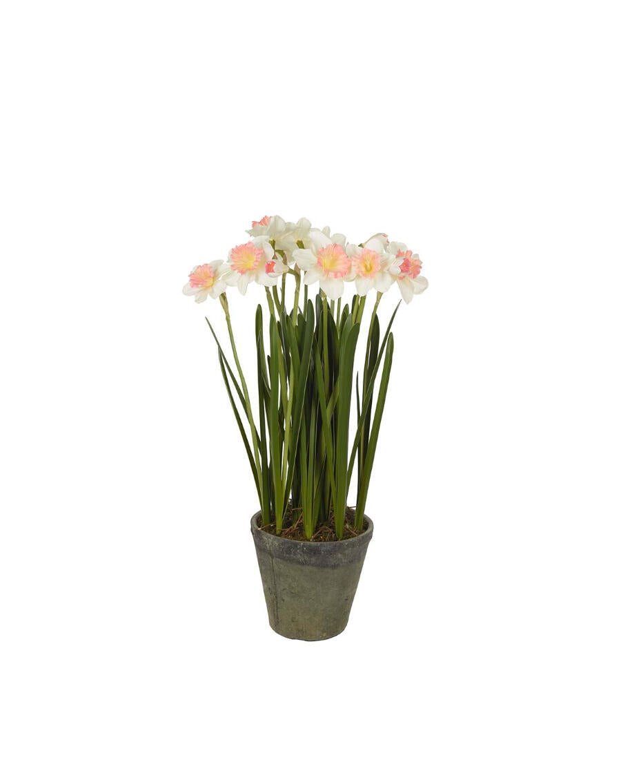 Narciss konstväxt gul/grön 70 cm