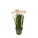 Narciss konstväxt gul/grön 70 cm