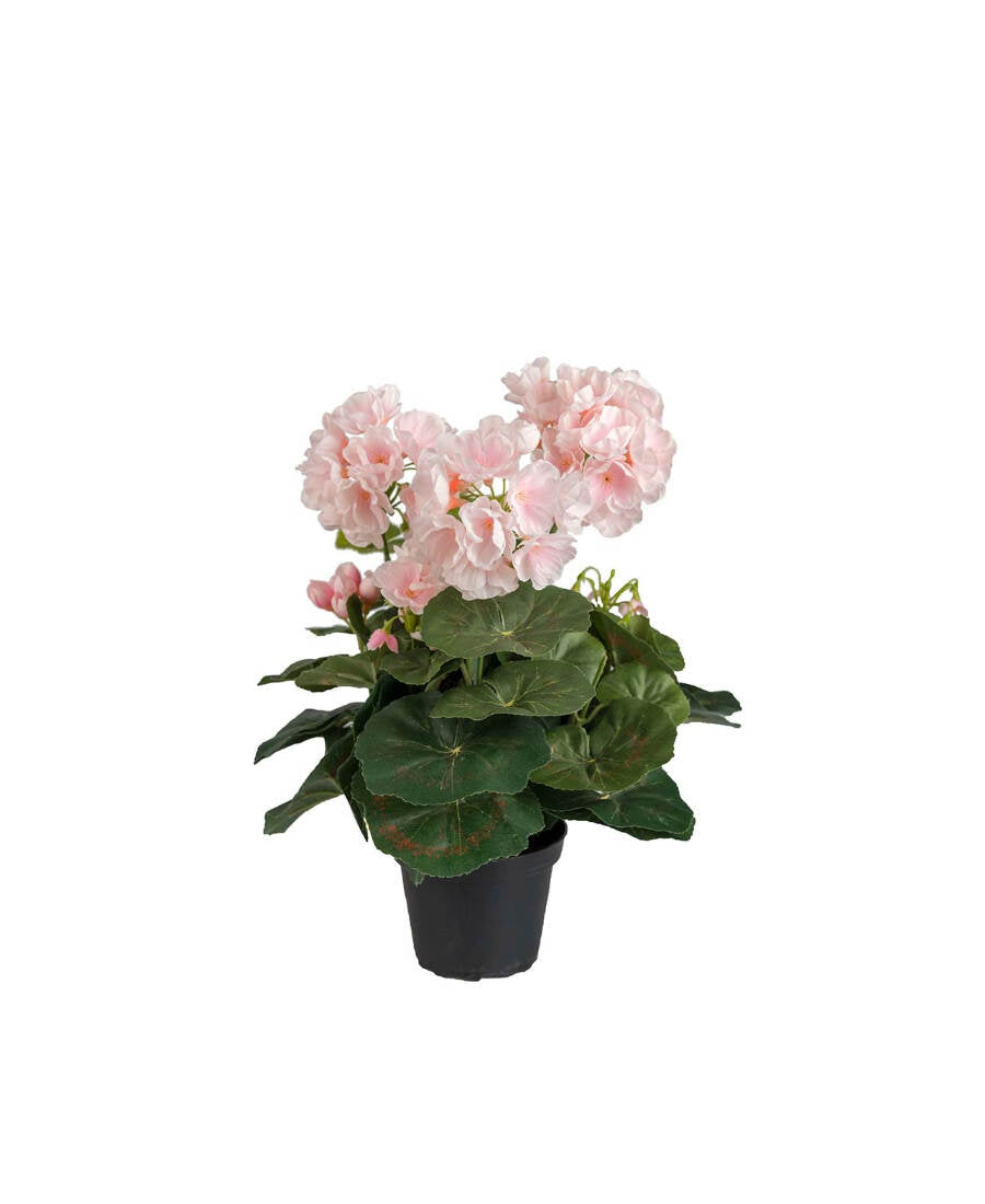Pelargon konstväxt ljusrosa 35 cm