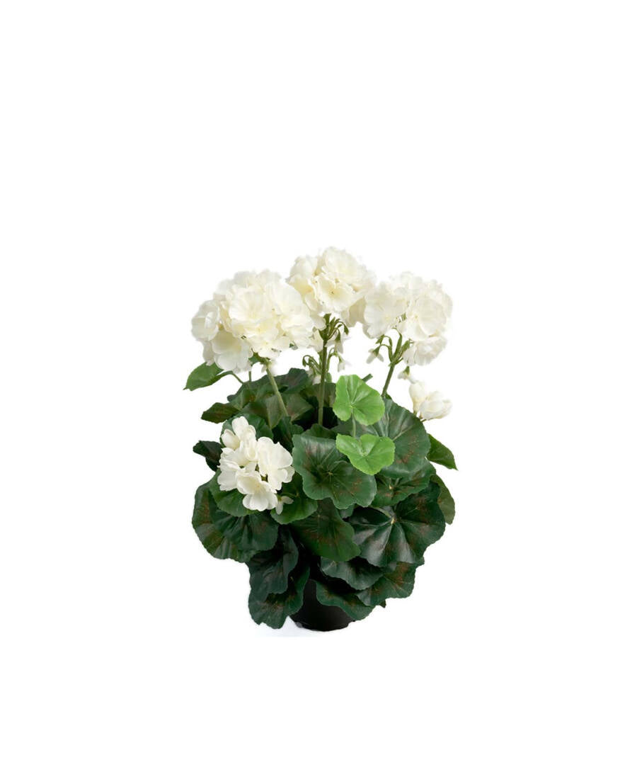 Pelargon konstväxt vit 35 cm