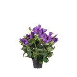 Petunia konstväxt blå 30 cm