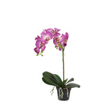 Phalaenopsis konstväxt lila 60 cm