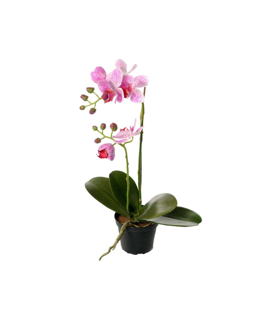 Phalaenopsis konstväxt rosa