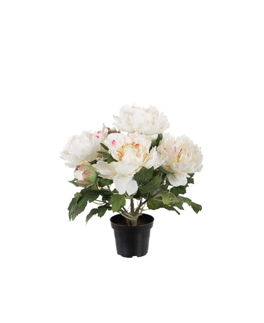 Pion konstväxt vit 35 cm