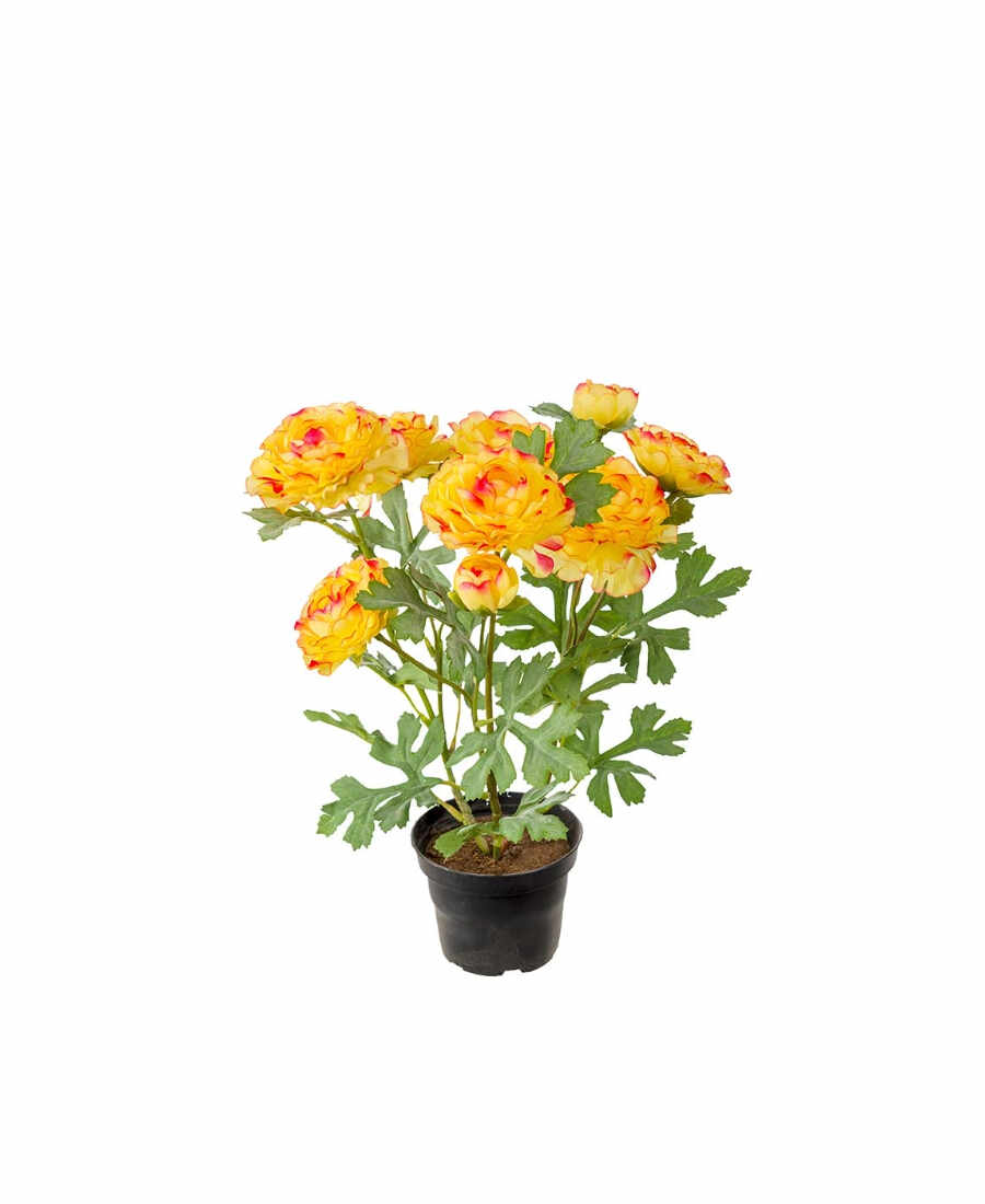 Ranuncel konstväxt orange 30 cm
