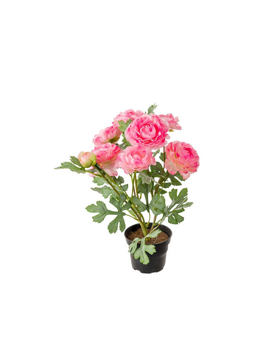 Ranuncel konstväxt rosa 30 cm