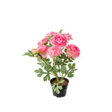 Ranuncel konstväxt rosa 30 cm