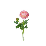 Ranuncel snittblomma ljusrosa 50 cm