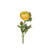 Ranuncel snittblomma gul 50 cm