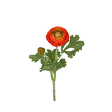 Ranuncel snittblomma orange 50 cm