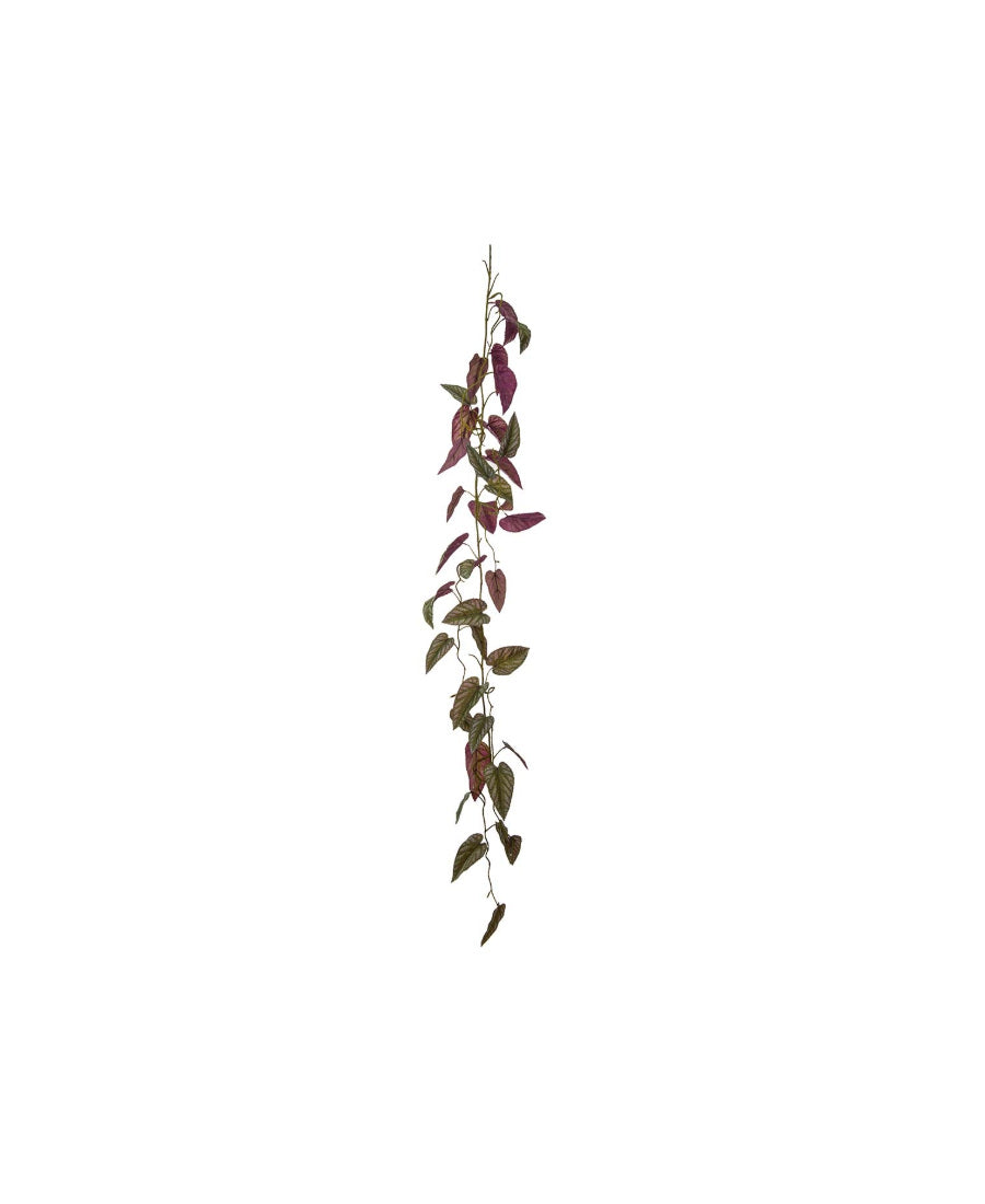 Rexbegonia girlang grön/röd 125 cm