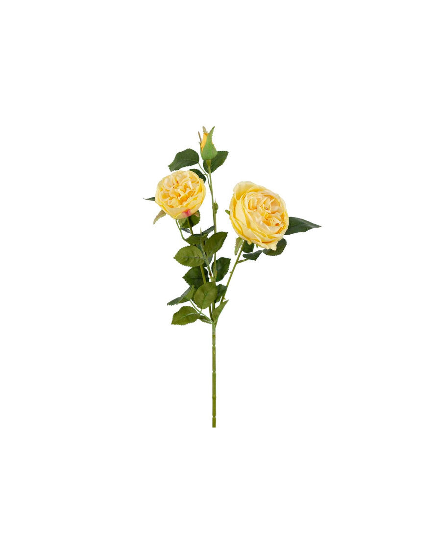 Ros snittblomma gul 60 cm