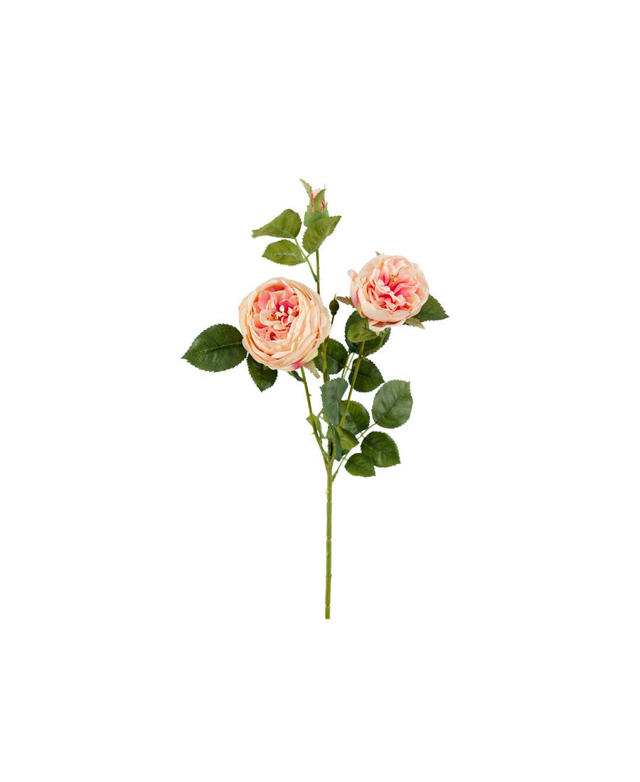 Ros snittblomma rosa 60 cm