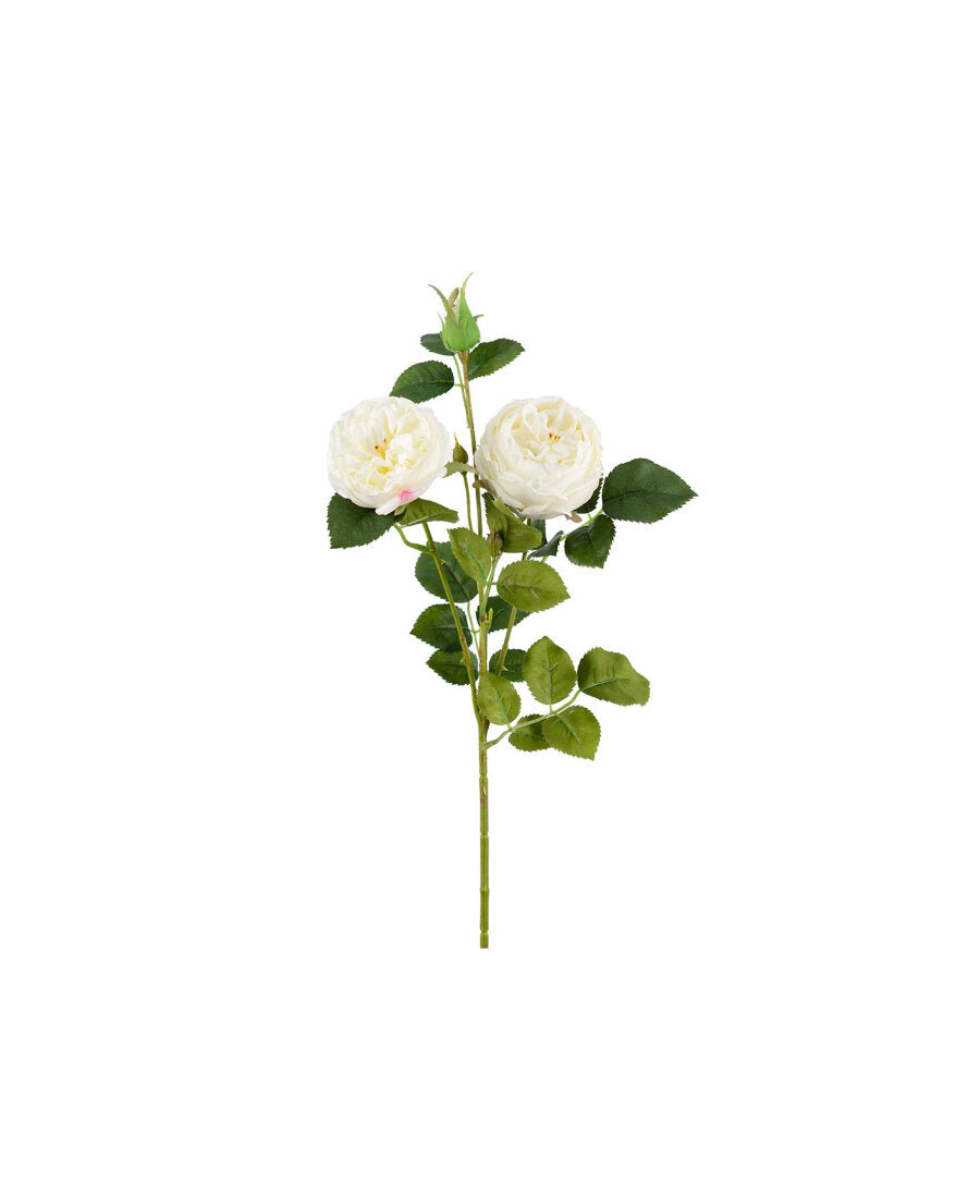 Ros snittblomma vit 60 cm