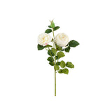 Ros snittblomma vit 60 cm