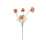 Rosenskära snittblomma aprikos 100 cm